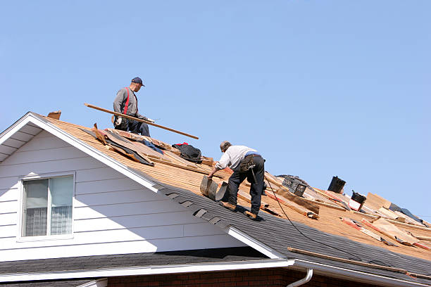 Best Metal Roofing Installation  in Cutten, CA